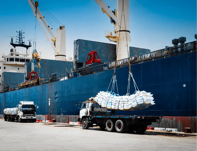 Giám Sát Xếp Dỡ Hàng